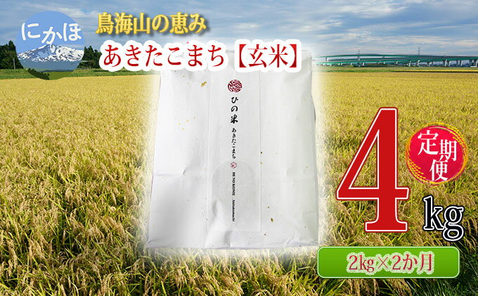 【ふるさと納税】米 お米 《定期便》2kg×2ヶ月 鳥海山の恵み！秋田県産 あきたこまち ひの米（玄米）計4kg（2kg×2回連続）　 お米 美味しい 寒暖差 神宿る里の米 自然 無病息災 悪疫退散 ご利益 祝い - 画像2