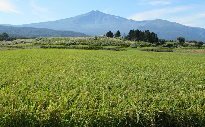 【ふるさと納税】米 お米 《定期便》2kg×2ヶ月 鳥海山の恵み！秋田県産 あきたこまち ひの米（玄米）計4kg（2kg×2回連続）　 お米 美味しい 寒暖差 神宿る里の米 自然 無病息災 悪疫退散 ご利益 祝い - 画像3