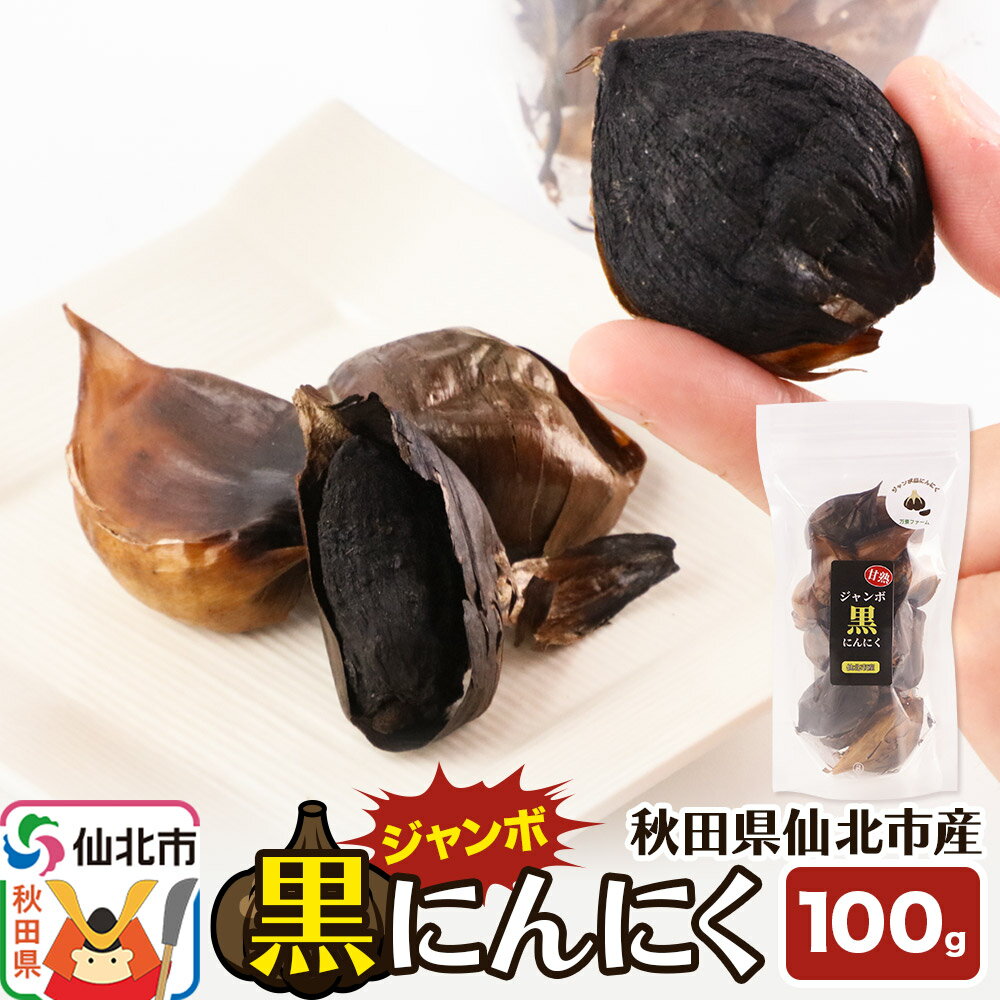 秋田県仙北市産 ジャンボ黒にんにく 100g×1パック＜ゆうパケット＞