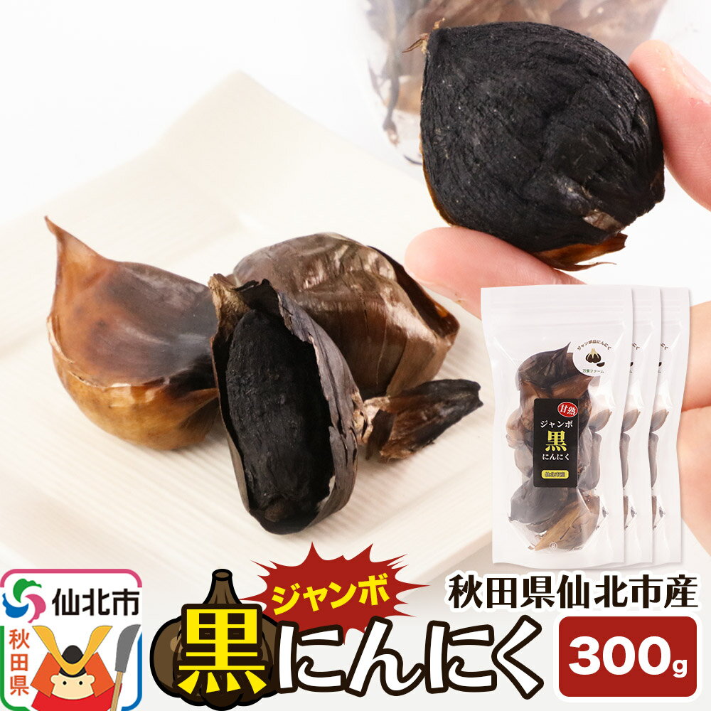 秋田県仙北市産 ジャンボ黒にんにく 300g（100g×3パック）