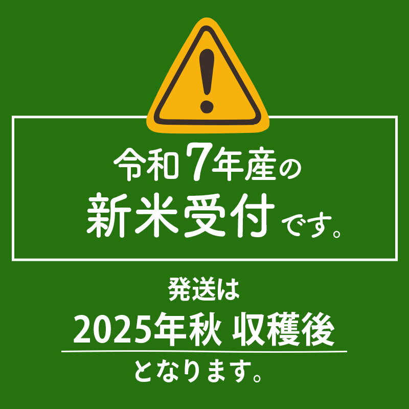 【ふるさと納税】【無洗米】※R7新米予約※ 秋田県産 あきたこまち 10kg (5kg×2袋) 令和7年産 お米 新米 サムネイル2