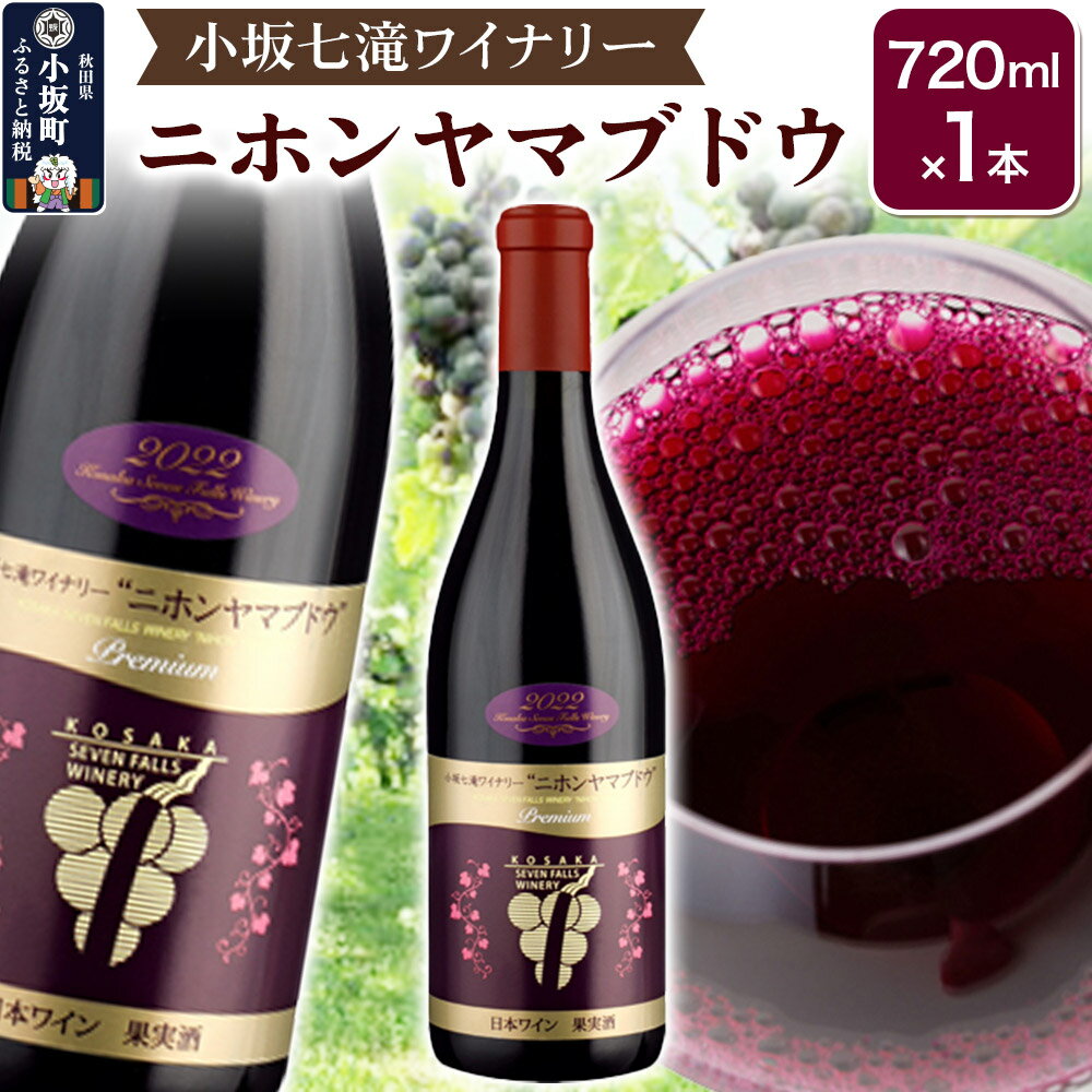 小坂七滝ワイナリー ニホンヤマブドウ 720ml×1本