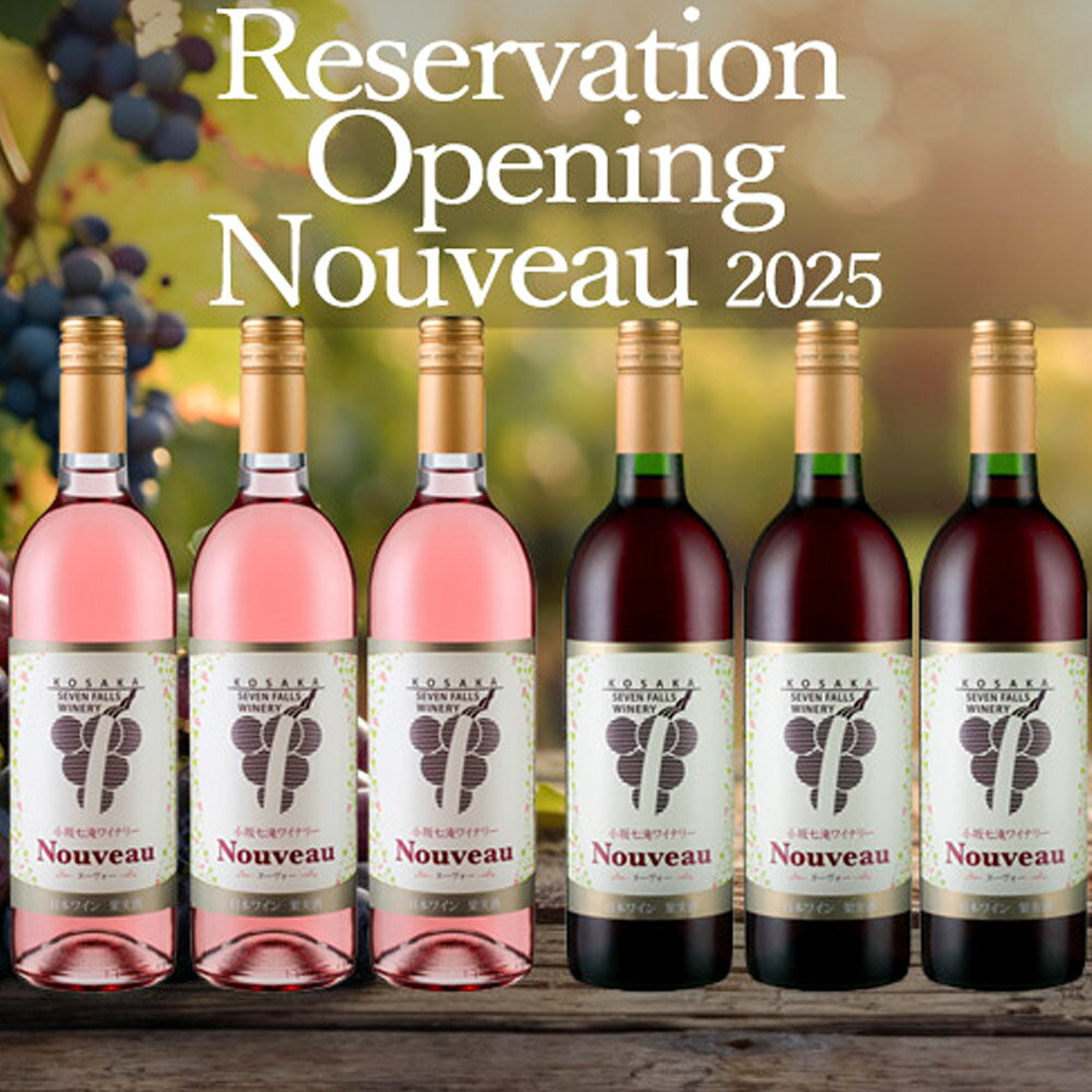 【ふるさと納税】ワイン 小坂七滝ワイナリー ヌーヴォー2025 ロゼ750ml×1本 サムネイル2