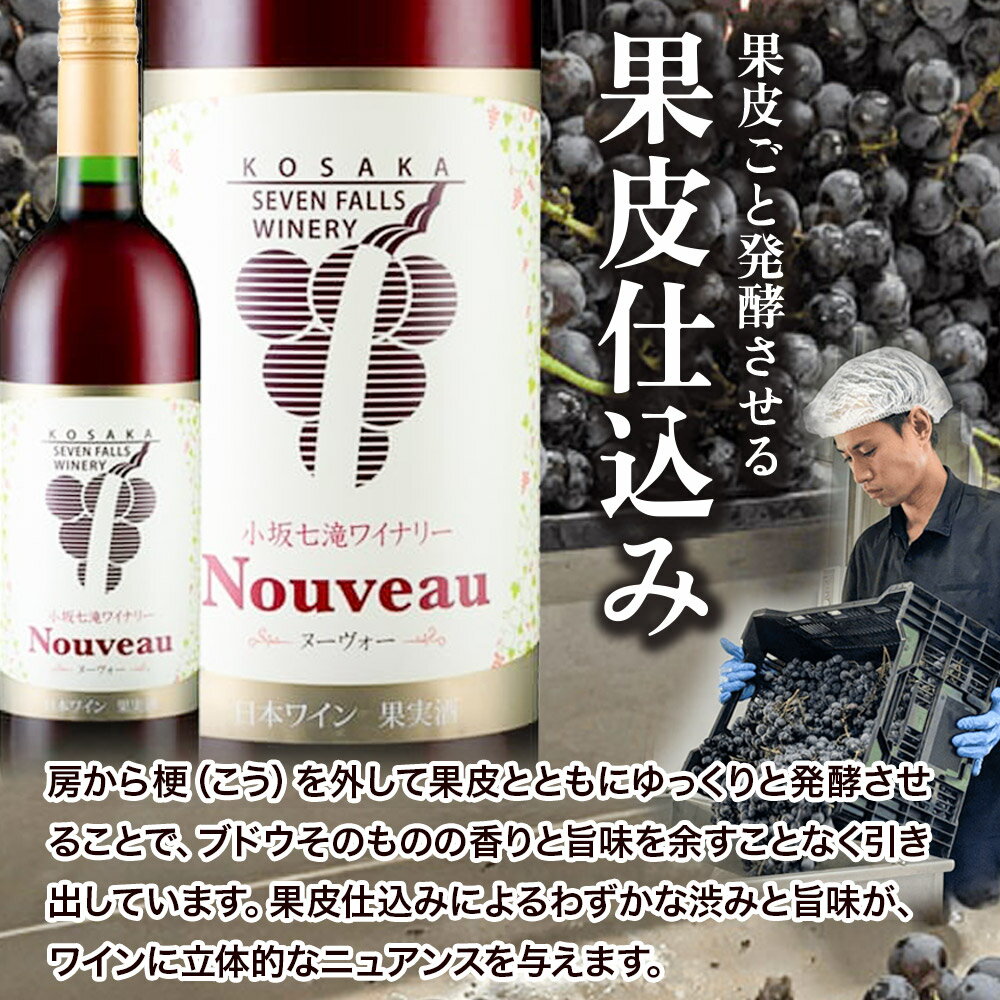 【ふるさと納税】ワイン 小坂七滝ワイナリー ヌーヴォー2025 2本セット （ルージュ・ロゼ 750ml×各1本） サムネイル3