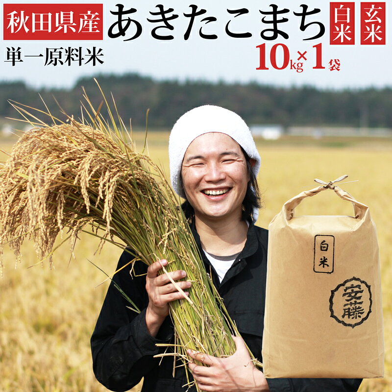 《令和7年産》秋田県産 あきたこまち 10kg(10kg×1袋) 【白米／玄米 選べる】令和7年産