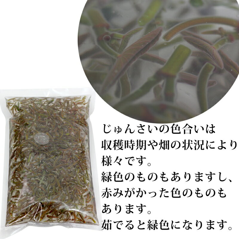 【ふるさと納税】特選生じゅんさい ゆずタレ付 《冷蔵》【選べる内容量200g〜4kg】（2026年5月上旬頃〜7月下旬までに発送予定） 令和8年産 2026年産 先行予約 秋田県産 三種町産 - 画像2