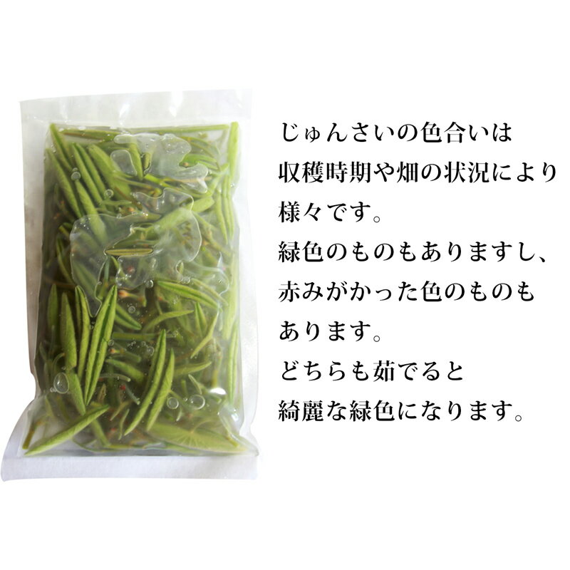 【ふるさと納税】生じゅんさい 比内地鶏スープ付 《冷蔵》【選べる内容量500g〜4kg】（2026年5月上旬頃〜7月下旬までに発送予定） 令和8年産 2026年産 先行予約 秋田県産 三種町産 - 画像3