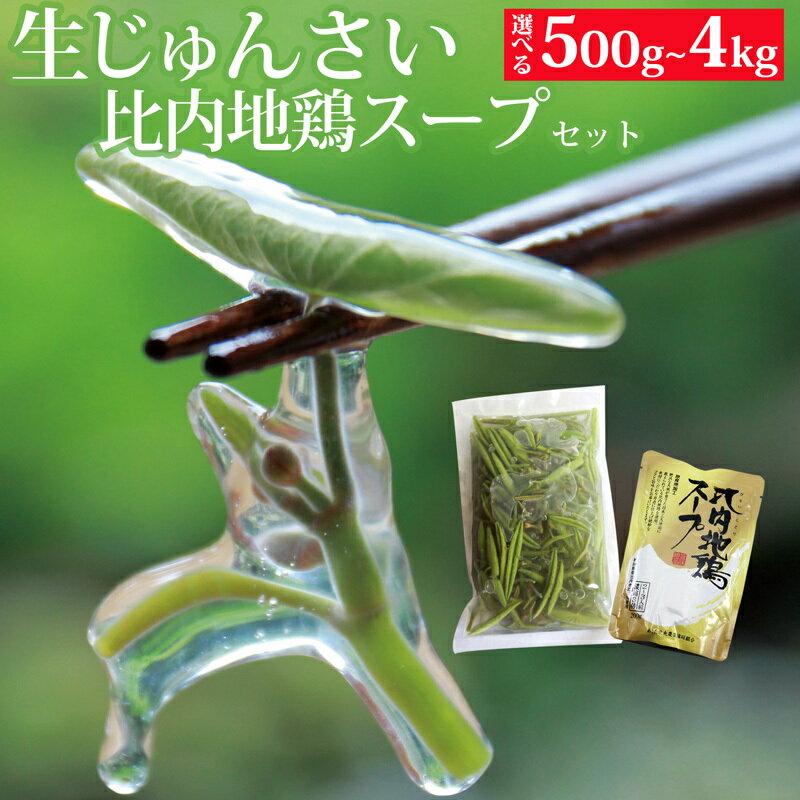 生じゅんさい 比内地鶏スープ付 《冷蔵》【選べる内容量500g〜4kg】（2026年5月上旬頃〜7月下旬までに発送予定） 令和8年産 2026年産 先行予約 秋田県産 三種町産