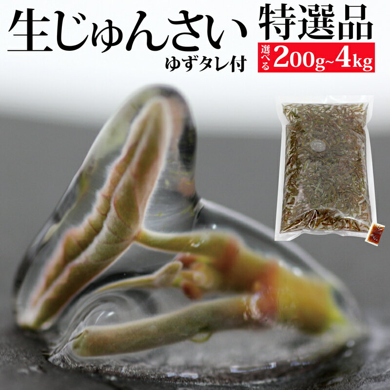 特選生じゅんさい ゆずタレ付 《冷蔵》【選べる内容量200g〜4kg】（2026年5月上旬頃〜7月下旬までに発送予定） 令和8年産 2026年産 先行予約 秋田県産 三種町産
