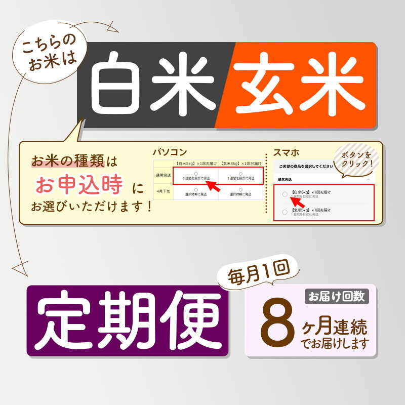 【ふるさと納税】【R8年新米予約】 《8ヶ月定期便》【白米／玄米】あきたこまち 10kg (10kg×1袋) 秋田県三種町産 令和8年産 下岩川米 - 画像3