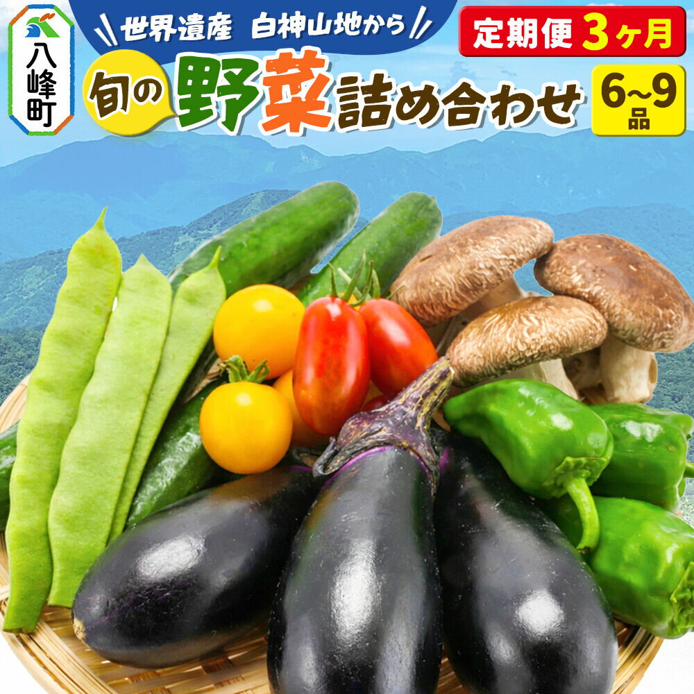 野菜詰合せ 【先行受付】《定期便3回 隔月 7月／9月／11月にお届け》6〜9品程度 （計8〜10kg程度）自然で採れた旬の野菜！！世界遺産「白神山地」の旬野菜 [白神山地 世界遺産 定期便 野菜 旬 セット 詰め合わせ 詰合せ 新鮮]