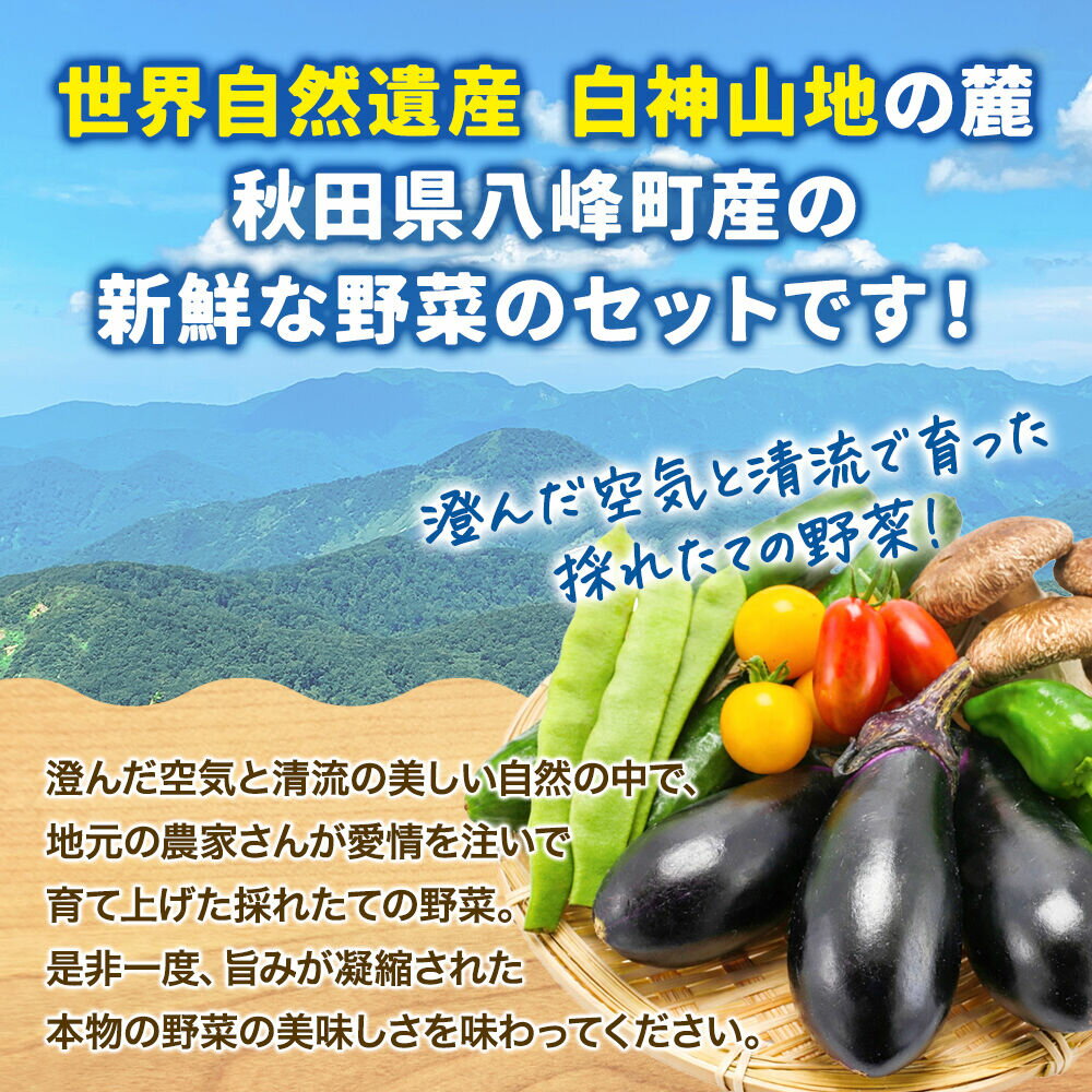 【ふるさと納税】野菜詰合せ 【先行受付】《定期便3回 隔月 7月／9月／11月にお届け》6〜9品程度 （計8〜10kg程度）自然で採れた旬の野菜！！世界遺産「白神山地」の旬野菜 [白神山地 世界遺産 定期便 野菜 旬 セット 詰め合わせ 詰合せ 新鮮] - 画像2