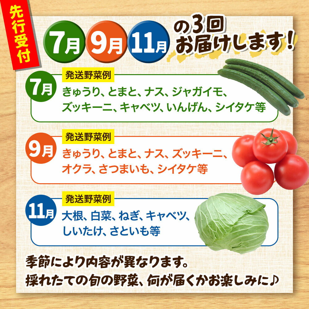 【ふるさと納税】野菜詰合せ 【先行受付】《定期便3回 隔月 7月／9月／11月にお届け》6〜9品程度 （計8〜10kg程度）自然で採れた旬の野菜！！世界遺産「白神山地」の旬野菜 [白神山地 世界遺産 定期便 野菜 旬 セット 詰め合わせ 詰合せ 新鮮] - 画像3