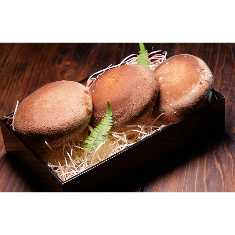 【ふるさと納税】しいたけ 秋田県八峰町産 ブランド椎茸「黒椎茸」3個入×2パック（約540g） [椎茸 しいたけ シイタケ ブランド椎茸 黒椎茸 秋田県産 国産 540g] - 画像2