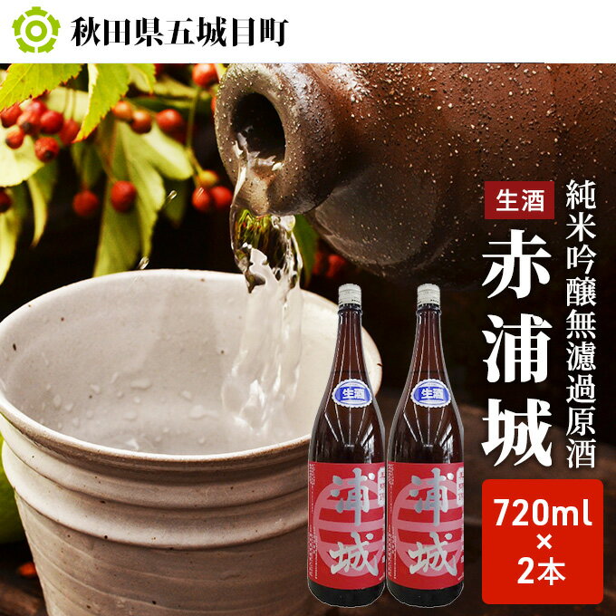 【ふるさと納税】【生酒】純米吟醸無濾過原酒「赤浦城」720ml×2 お酒 日本酒 純米吟醸酒 サムネイル2