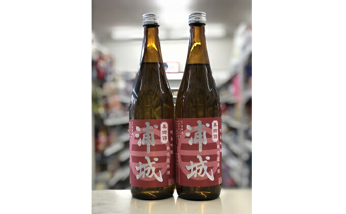 【ふるさと納税】【生詰】純米吟醸無濾過原酒「赤浦城」720ml×2本 お酒 日本酒 純米吟醸酒 アルコール 果実味 サムネイル2