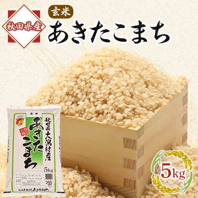 あきたこまち玄米5kg【配送不可地域：離島・沖縄県】【1595356】
