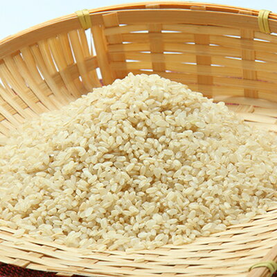 【ふるさと納税】あきたこまち玄米5kg【配送不可地域：離島・沖縄県】【1595356】 - 画像2