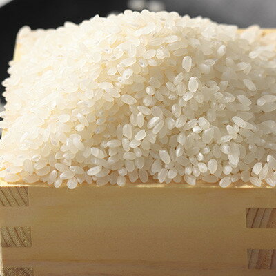 【ふるさと納税】【毎月定期便】あきたこまち 白米 10kg(5kg×2袋)全3回【配送不可地域：離島・沖縄県】【4080806】 - 画像2