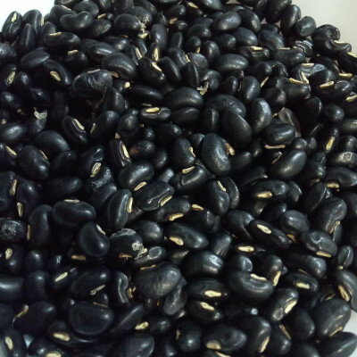 【ふるさと納税】大潟村産のもち米と天甲(てんこう)小豆で作る!赤飯セット【1682000】 - 画像3