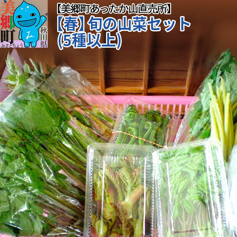 ＜先行受付＞【春】旬の山菜セット（5種類以上）美郷町あったか山直売所／ワラビ・タラの芽・タケノコ・山ウド・アイコ・シドケなど中身おまかせ [山菜 詰め合わせ]