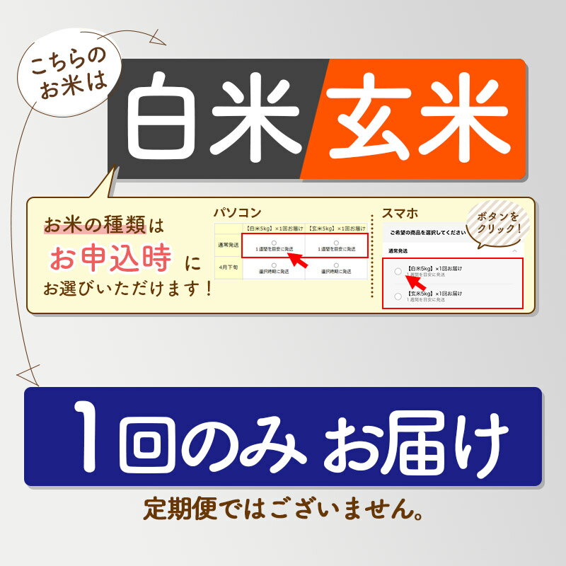【ふるさと納税】令和7年産 おばこの匠 秋田県産あきたこまち 5kg【白米／玄米 選べる】秋田こまち お米 - 画像2