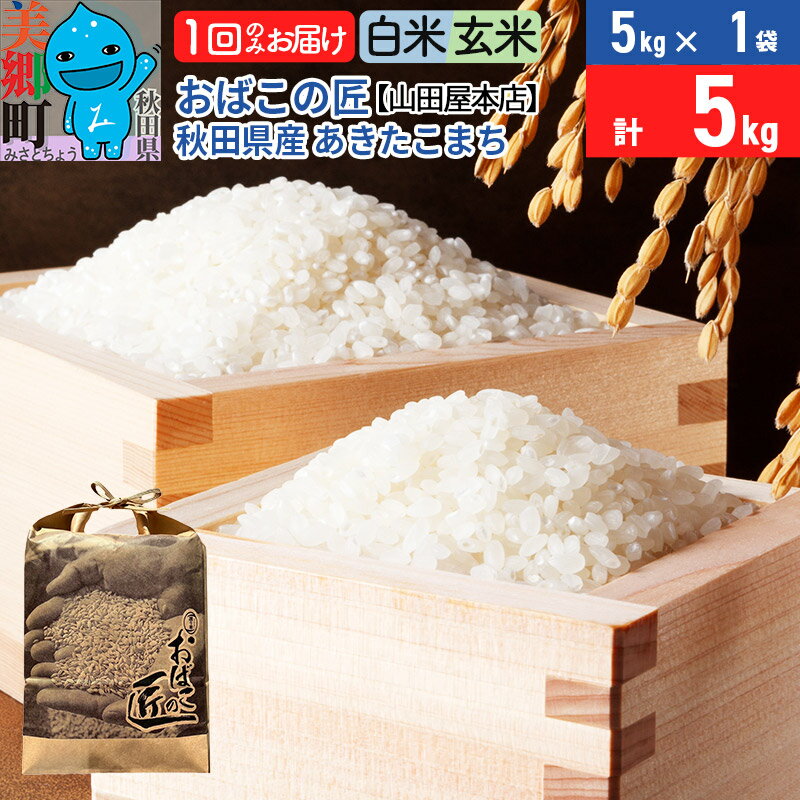 令和7年産 おばこの匠 秋田県産あきたこまち 5kg【白米／玄米 選べる】秋田こまち お米
