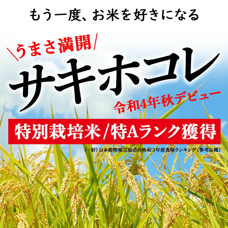 【ふるさと納税】令和7年産 サキホコレ特別栽培米10kg（5kg×2袋）【白米】秋田の新ブランド米 秋田県産 お米 - 画像3
