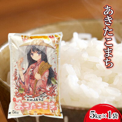 【令和7年度産】美少女イラスト 粒がひと回り大きい あきたこまち5kg 単一原料米【 米 お米 白米 精米 粒が大きい ふっくら 甘み 新米 先行予約 高品質米 ブランド米 銘柄米 秋田県 羽後町 】