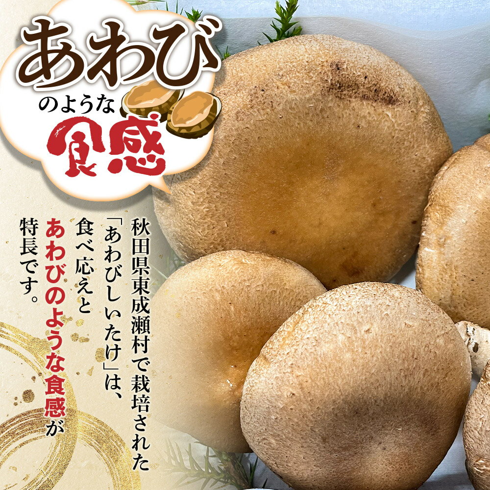 【ふるさと納税】椎茸 あわびしいたけ 【選べる容量】 滝ノ沢ファーム 菌床 シイタケ きのこ 食べ応え 肉厚 茸 秋田県 国産 大ぶり 高品質 [きのこ しいたけ 椎茸 シイタケ 東成瀬村 あわび 食べ応え 菌床 無農薬 農薬不使用 朝採り 新鮮 食感] - 画像3