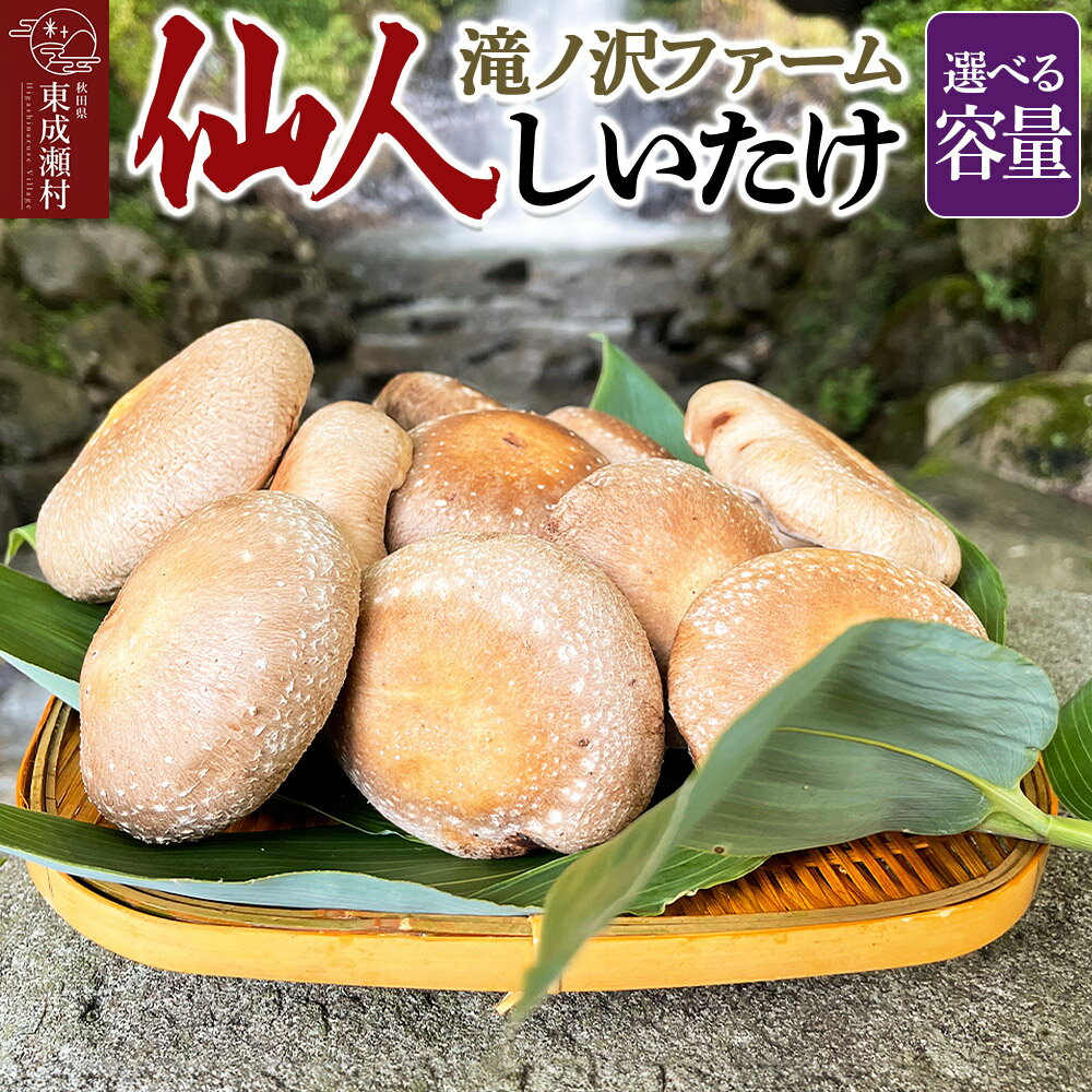 椎茸 仙人しいたけ 【選べる容量】 滝ノ沢ファーム 菌床 シイタケ きのこ 食べ応え 肉厚 茸 秋田県 国産 大ぶり 高品質 [きのこ しいたけ 椎茸 シイタケ 東成瀬村 食べ応え 菌床 無農薬 農薬不使用 朝採り 新鮮 食感 ギフト]