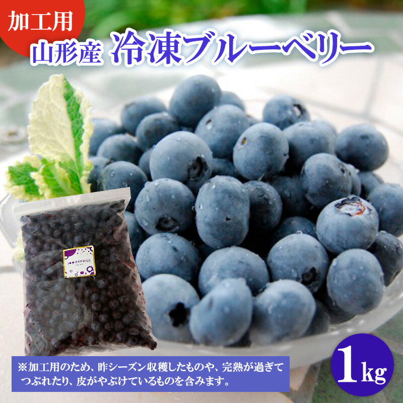 【加工用】冷凍山形市産ブルーベリー 1kg FZ20-676