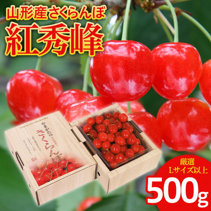 さくらんぼ 紅秀峰 厳選 L以上 500g入り1箱 【令和8年産先行予約】FS25-559 くだもの 果物 フルーツ 山形 山形県 山形市 お取り寄せ 2026年産