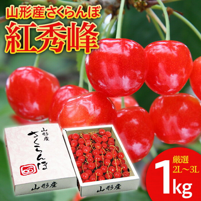 さくらんぼ 紅秀峰 ”希少な大粒” 厳選 2L~3L 1kg入り1箱 【令和8年産先行予約】FS25-565 くだもの 果物 フルーツ 山形 山形県 山形市 お取り寄せ 2026年産