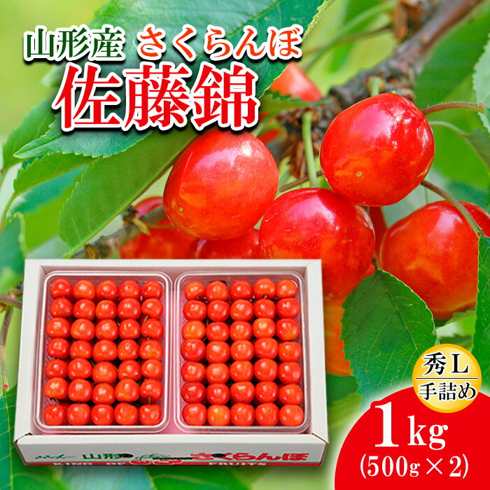 さくらんぼ 佐藤錦 L(500g×2)手詰 【令和8年産先行予約】FS25-529 くだもの 果物 フルーツ 山形 山形県 山形市 お取り寄せ 2026年産
