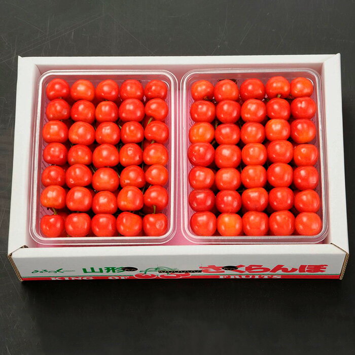 【ふるさと納税】さくらんぼ 佐藤錦 L(500g×2)手詰 【令和8年産先行予約】FS25-529 くだもの 果物 フルーツ 山形 山形県 山形市 お取り寄せ 2026年産 サムネイル2