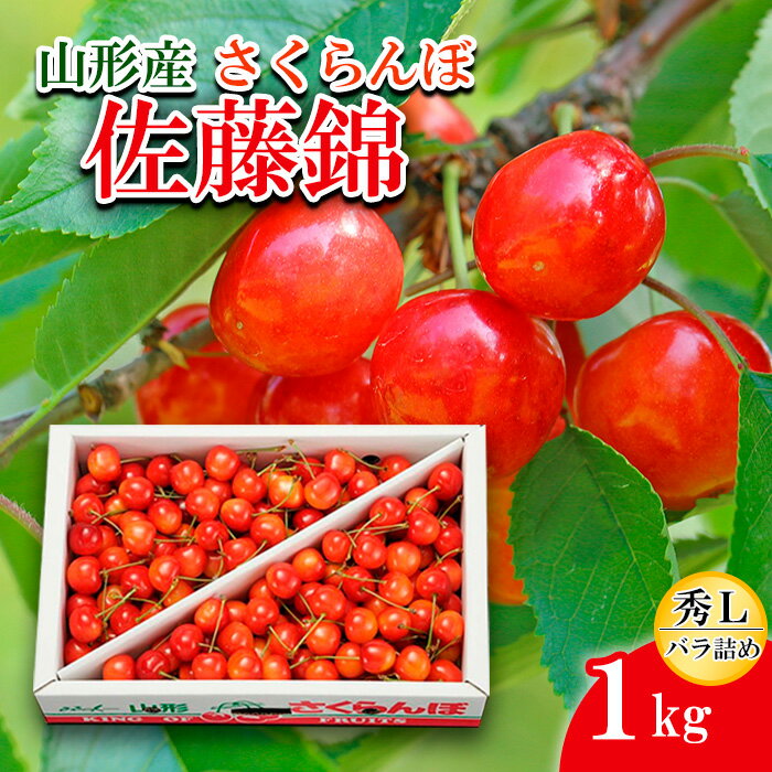 さくらんぼ 佐藤錦 L1kg バラ詰め 【令和8年産先行予約】FS25-530 くだもの 果物 フルーツ 山形 山形県 山形市 お取り寄せ 2026年産