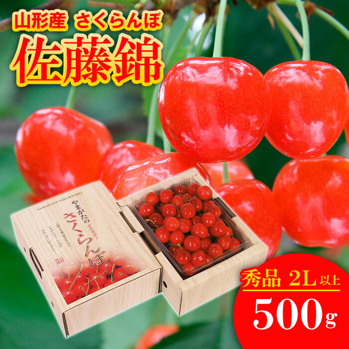 さくらんぼ 佐藤錦 ”希少な大粒” 厳選 2Lサイズ以上 500g入り 1箱 【令和8年産先行予約】FS25-564 くだもの 果物 フルーツ 山形 山形県 山形市 お取り寄せ 2026年産