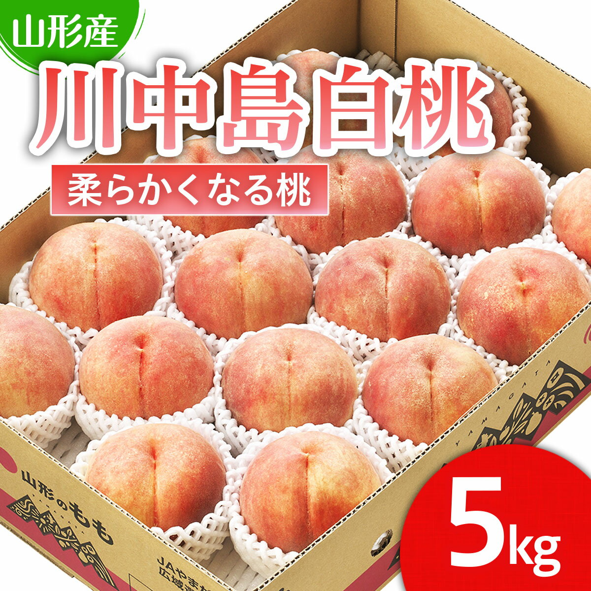 山形市産 桃「川中島白桃」 秀以上 5kg(13玉〜18玉)[柔らかくなる桃] 【令和8年産先行予約】FS25-728 くだもの 果物 フルーツ 山形 山形県 山形市 お取り寄せ 2026年産