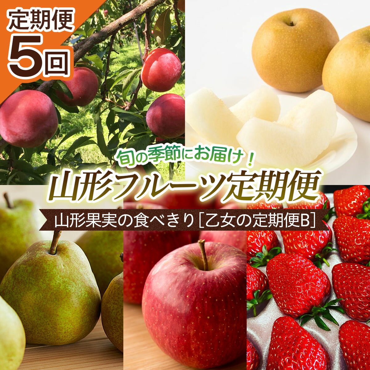 【定期便5回】山形果実の食べきり[乙女の定期便B] 【令和8年産先行予約】FU22-949 くだもの 果物 フルーツ 山形 山形県 山形市 お取り寄せ 2026年産