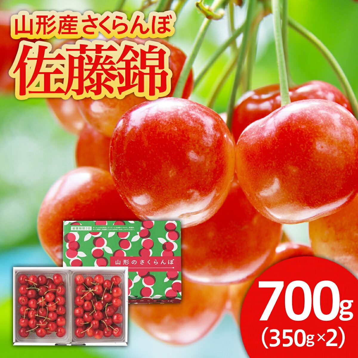 さくらんぼ 佐藤錦 700g バラ詰め Lサイズ 【令和8年産先行予約】FU21-613 くだもの 果物 フルーツ 山形 山形県 山形市 お取り寄せ 2026年産