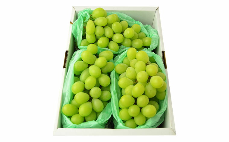 【ふるさと納税】山形のシャインマスカット 秀品 約2kg(2〜5房) 【令和8年産先行予約】FS24-641 フルーツ くだもの 果物 お取り寄せ 先行予約 - 画像2