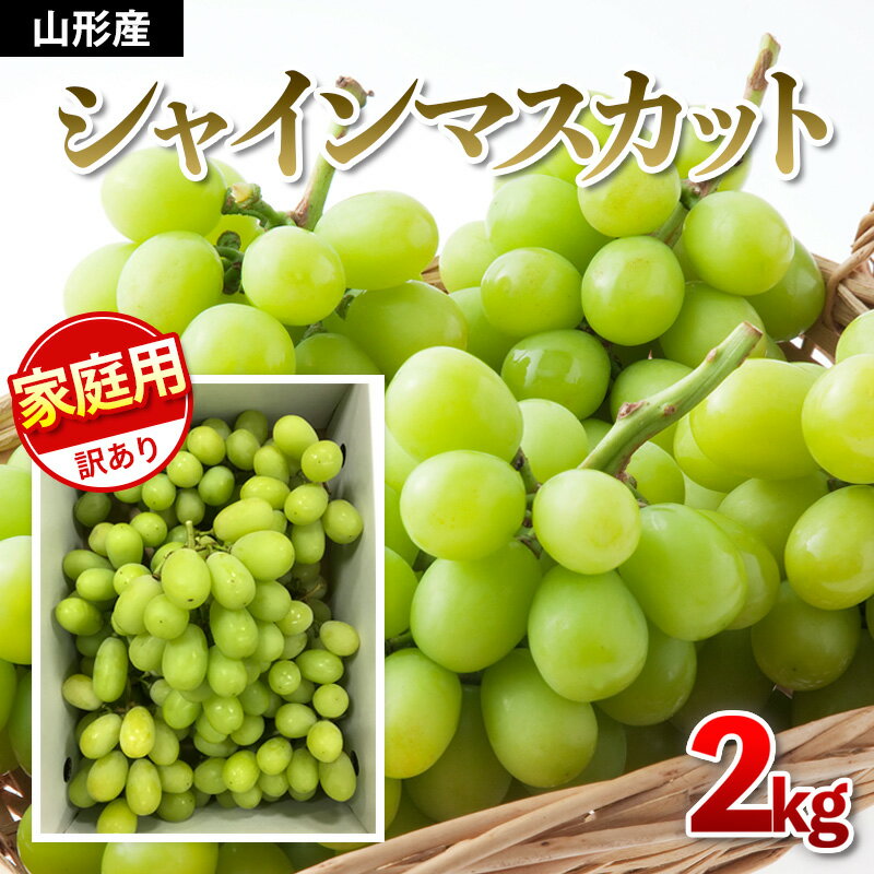 【ご家庭用】シャインマスカット 約2kg 1箱【令和7年産先行予約】FU21-645 フルーツ くだもの 果物 お取り寄せ 先行予約 訳あり