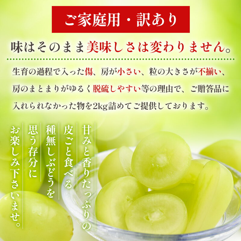 【ふるさと納税】【ご家庭用】シャインマスカット 約2kg 1箱【令和7年産先行予約】FU21-645 フルーツ くだもの 果物 お取り寄せ 先行予約 訳あり サムネイル2