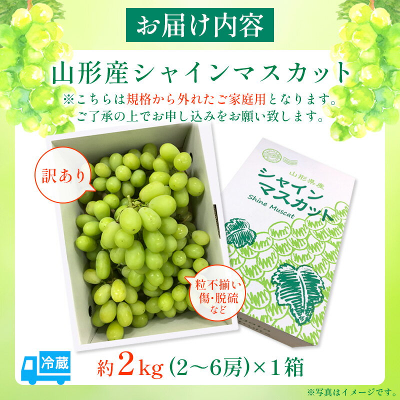 【ふるさと納税】【ご家庭用】シャインマスカット 約2kg 1箱【令和7年産先行予約】FU21-645 フルーツ くだもの 果物 お取り寄せ 先行予約 訳あり サムネイル3