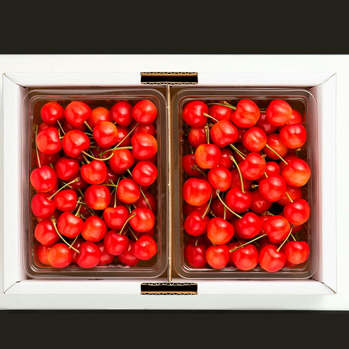 【ふるさと納税】さくらんぼ 佐藤錦1kg(500g×2) L バラ詰め 【令和8年産先行予約】FS25-507 くだもの 果物 フルーツ 山形 山形県 山形市 お取り寄せ 2026年産 サムネイル2