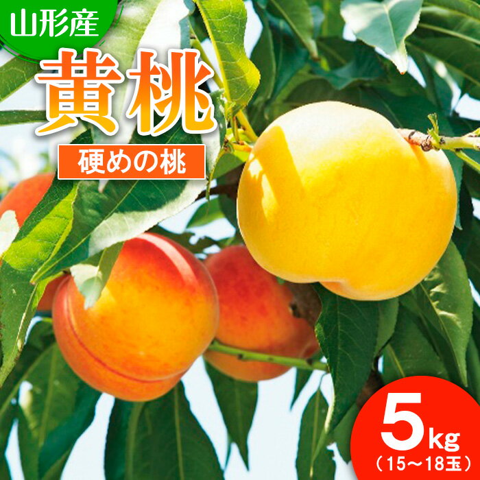 山形市産 もも(黄桃)5kg(15〜18玉)[硬めの桃] 【令和8年産先行予約】FS25-730 くだもの 果物 フルーツ 山形 山形県 山形市 2026年産