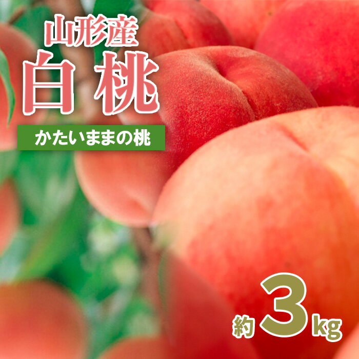 山形の産直所で人気！硬くてカリカリの桃 3kg(5〜12玉)【令和8年産先行予約】FU21-831くだもの 果物 フルーツ 山形 山形県 山形市 お取り寄せ 先行予約 2026年産