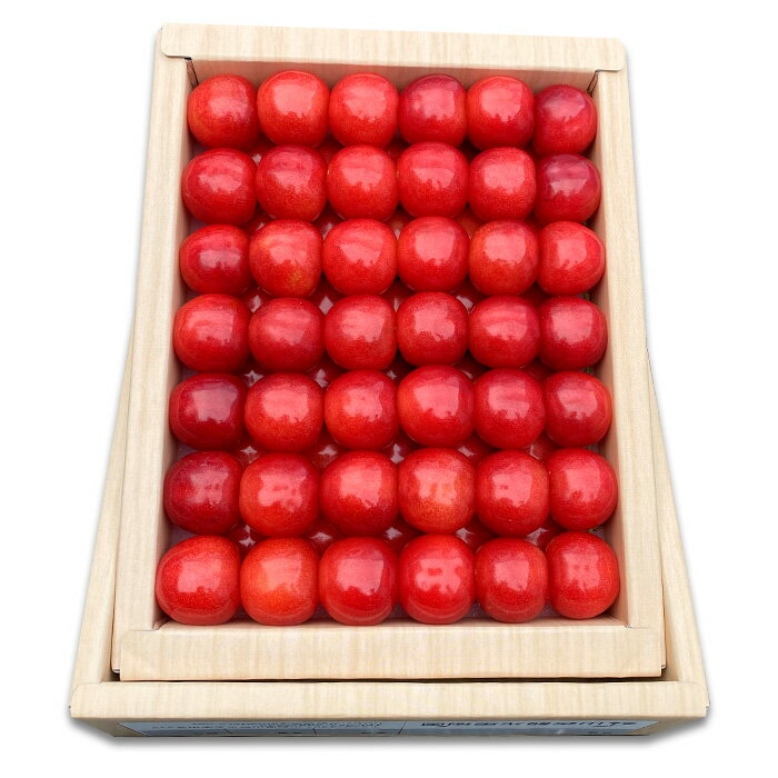 【ふるさと納税】さくらんぼ 佐藤錦 (ハウス) 特選 手詰め L以上 約600g 【令和8年産先行予約】FS25-709 くだもの 果物 フルーツ 山形 山形県 山形市 お取り寄せ 2026年産 サムネイル2