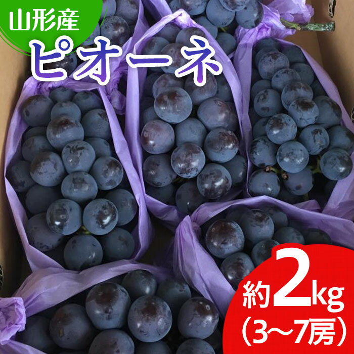 山形市産 ぶどう(ピオーネ) 秀 2kg(3～7房) 【令和8年産先行予約】FU22-052 くだもの 果物 フルーツ 山形 山形県 山形市 お取り寄せ 2026年産